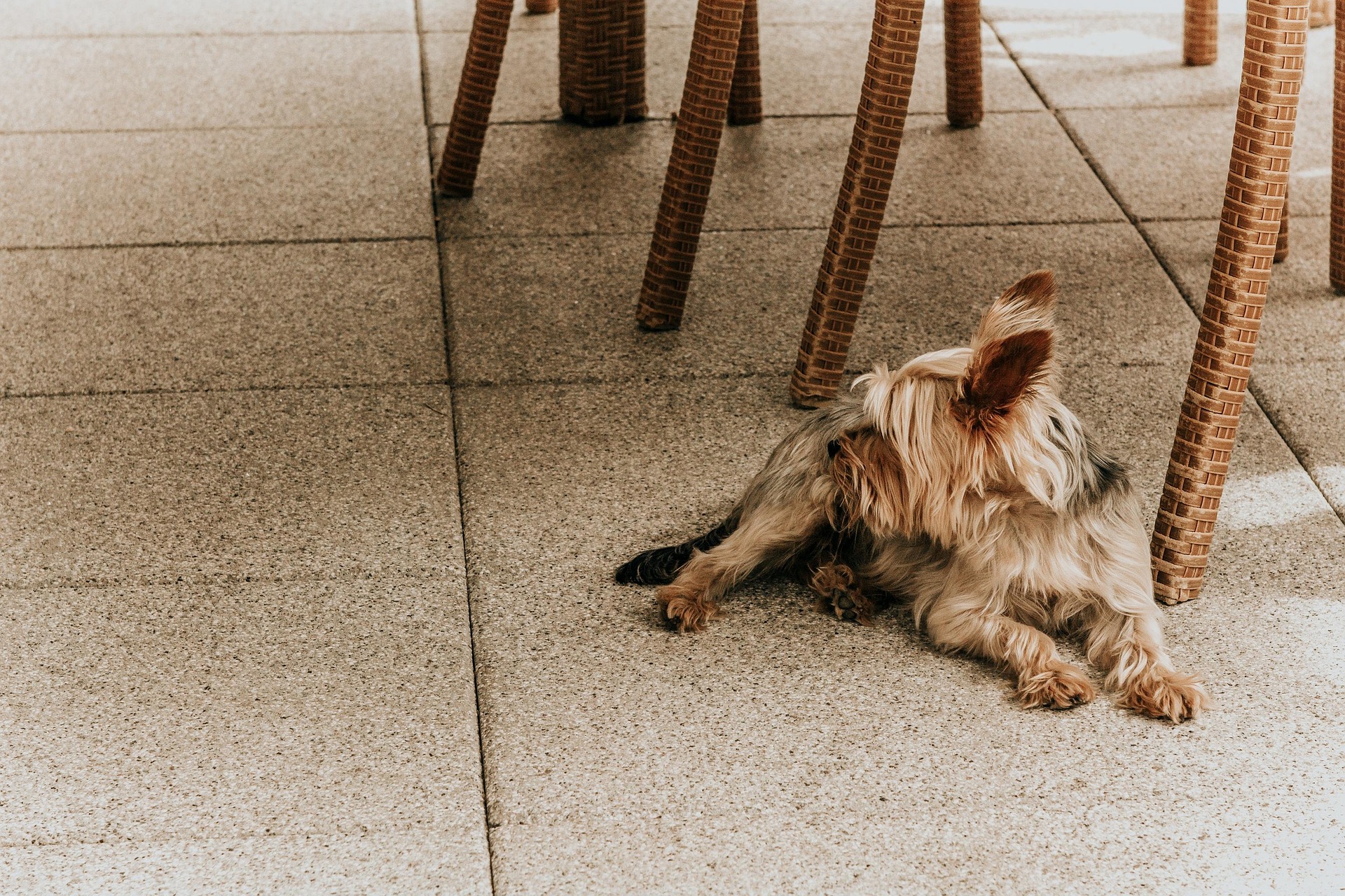 Terrasse reinigen: Grünbelag gründlich entfernen auf baumarktblog24.de